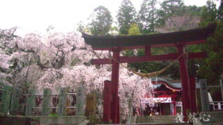 小川・諏訪神社